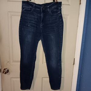 EUC JUDY BLUE FIVE POCKET PLUS SIZE BLUE JEANS SZ 16W